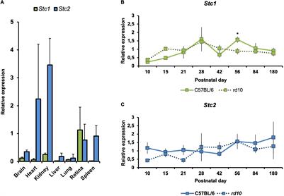 Stanniocalcin2, but Not Stanniocalcin1, Responds to Hypoxia in a HIF1-Dependent Manner in the Retina